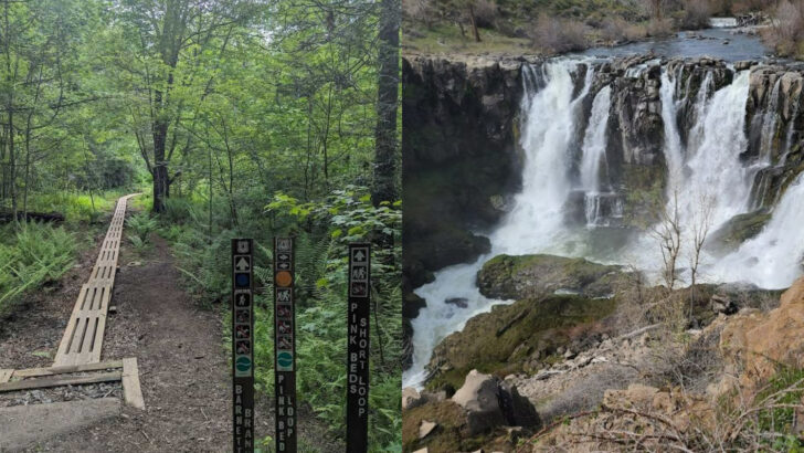 12 Wildflower Hikes Across North Carolina To Catch Before The Spring Blooms Disappear