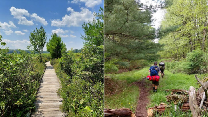 13 Can&rsquo;t-Miss Hikes in Pennsylvania Ranked From Casual Strolls to Leg-Burning Routes