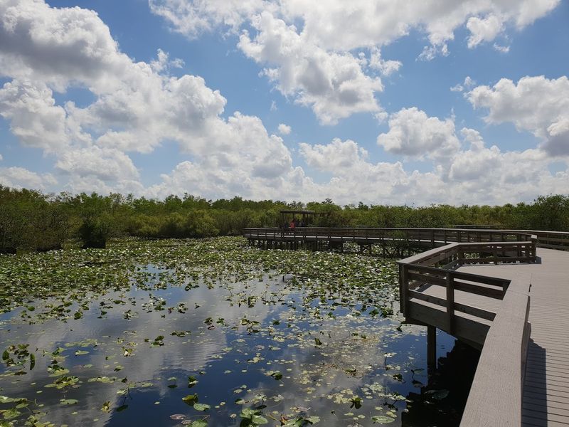 Anhinga Trail - Everglades National Park