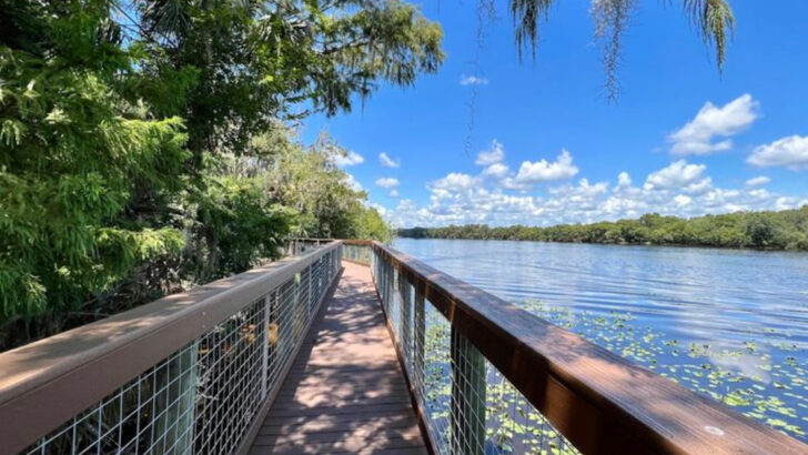 13 Florida Hikes That Are at Their Absolute Best in April Before the Heat Takes Over