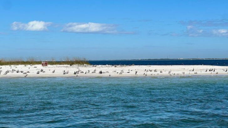 13 Free-To-Enter Florida Wildlife Refuges Worth Adding To Your Next Day Trip