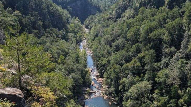 13 Georgia Hikes That Prove the State Has Some of the Best Trails in the Southeast