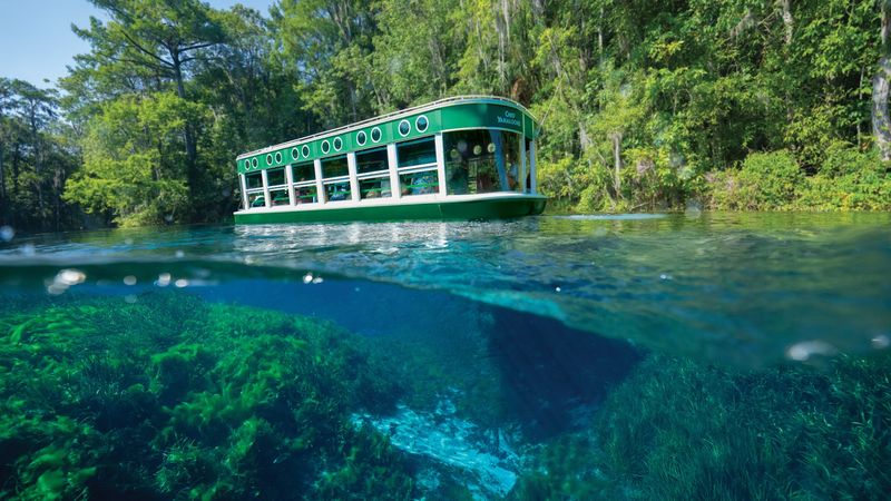 Silver Springs State Park Glass Bottom Boat Tours - Silver Springs