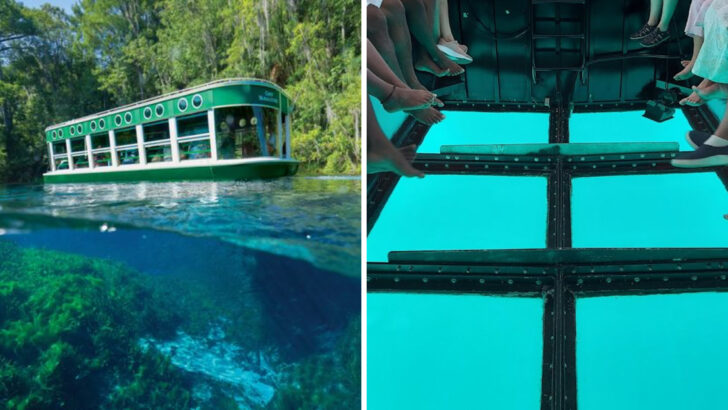13 Glass-Bottom Boat Tours That Offer A Unique Way To Experience Florida