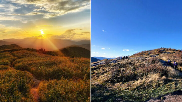 13 Hikes Across North Carolina That Are at Their Absolute Best in April