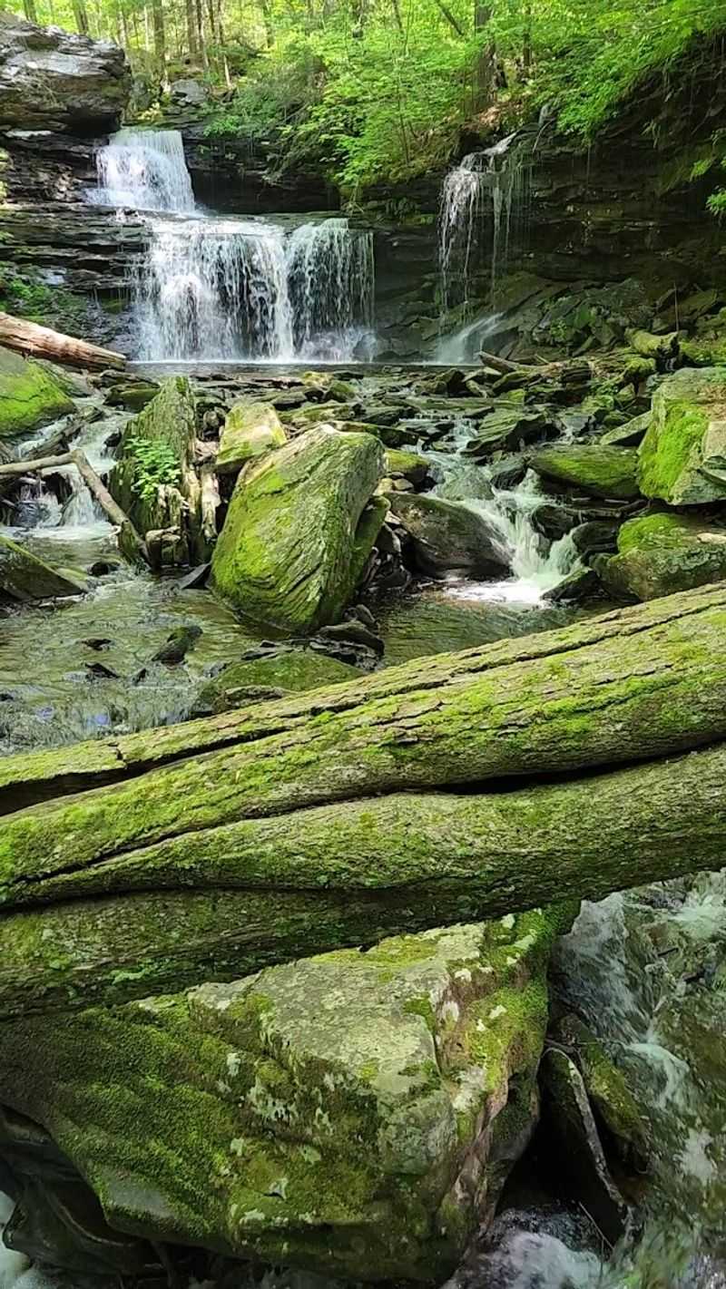 Ricketts Glen Falls Loop (Ricketts Glen State Park)