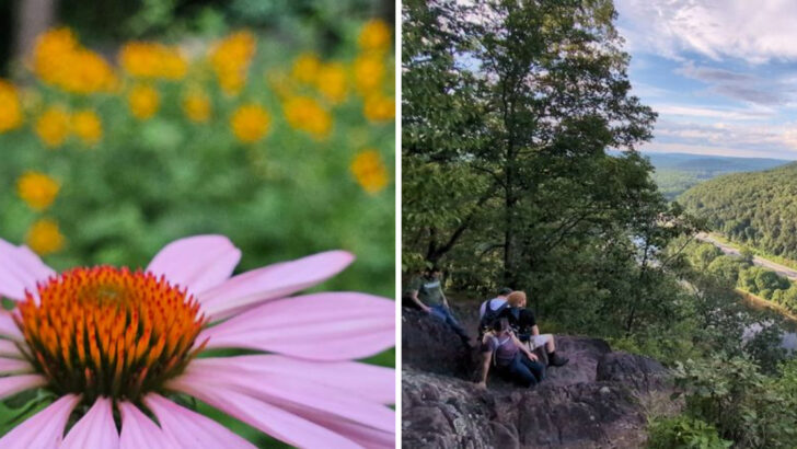 13 Pennsylvania Hikes That Come Alive in April With Some of the Best Views in the State
