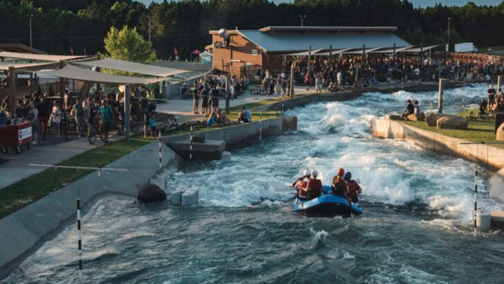 13 Totally Spontaneous Spring Activities in North Carolina Your Kids Will Thank You For