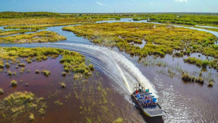 14 Airboat Tours In Florida Worth Trying At Least Once