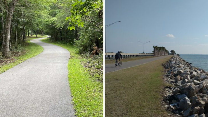 14 Bike Trails Across Florida That Turn an Ordinary Spring Day Into an Adventure