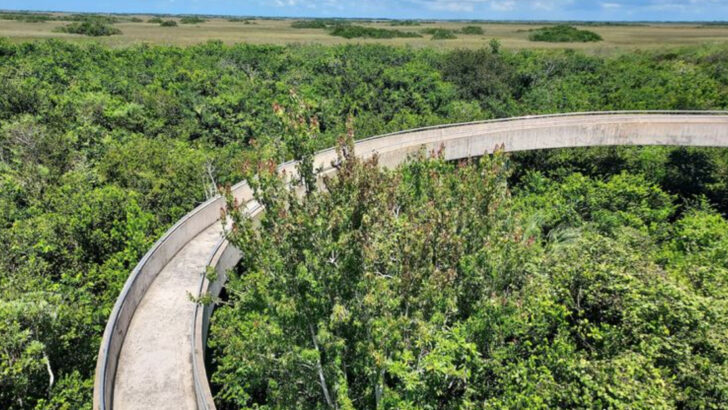 14 Bucket List Hikes Across Florida Ranked From Relaxed Walks to Deep Wilderness Treks