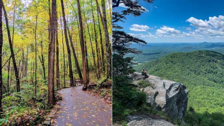 14 Bucket List Hikes in Georgia Ranked From Shady Forest Walks to Mountain Climbs