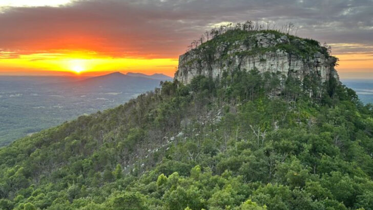 14 Budget-Friendly North Carolina Day Trips That Feel Like You Actually Got Away