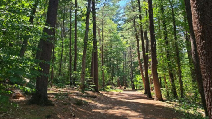 14 Can&rsquo;t-Miss Hikes in Massachusetts Ranked From Easy Day Walks to Challenging Peaks