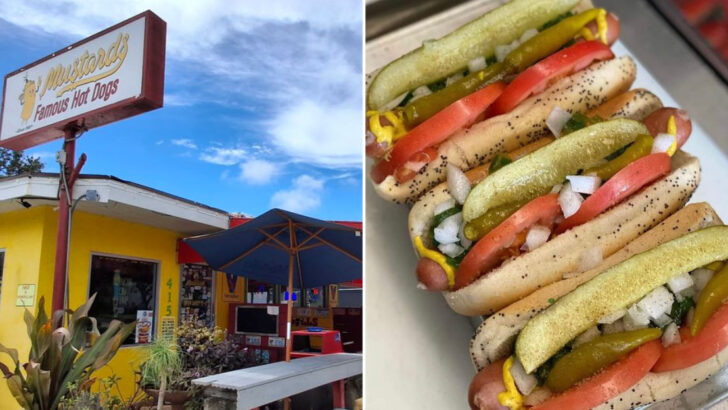 14 Chicago-Style Hot Dog Counters Across Florida With Snap, Spice, And Windy City Flavor