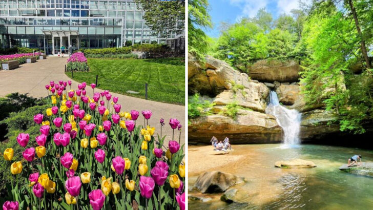 14 Family-Friendly Ohio Spring Ideas That Are Just as Fun Without Weeks of Preparation