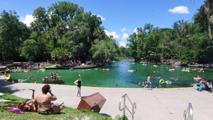 14 Family-Friendly Spring Activities in Florida That Don&rsquo;t Require Planning Ahead