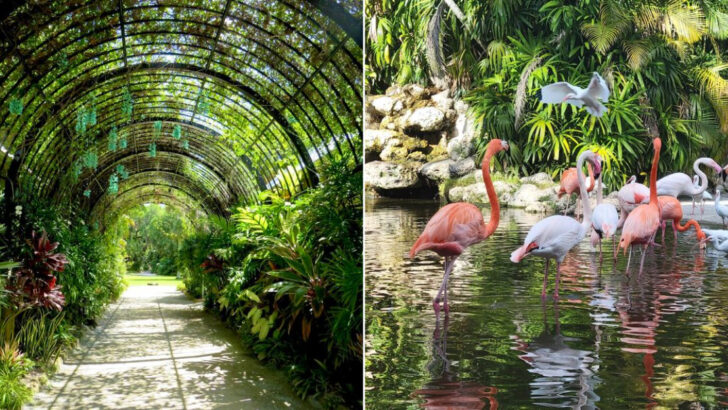 14 Public Gardens Across Florida With Rare Orchids, Tropical Fruit Trees and Canopy Walks Hard to Find Anywhere Else in America