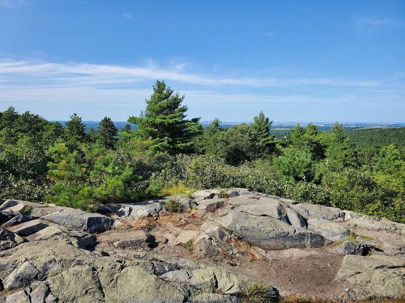 Blue Hills Reservation (Milton, Quincy, Dedham)