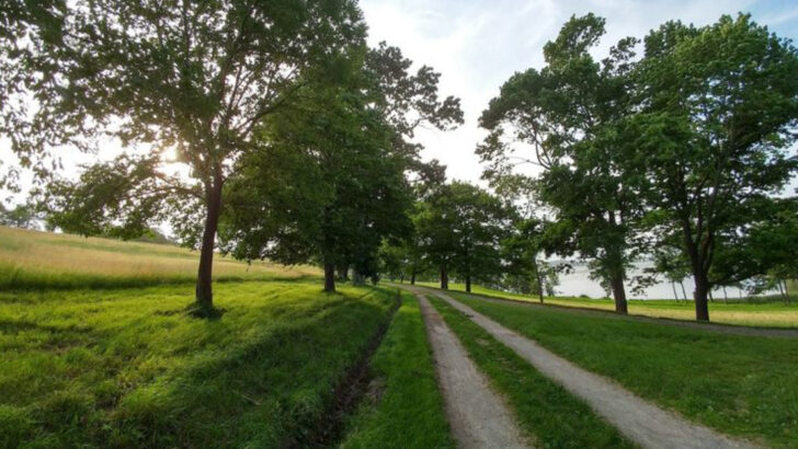 14 Spring Hikes in Massachusetts That Locals Have Been Waiting All Winter to Get Back To