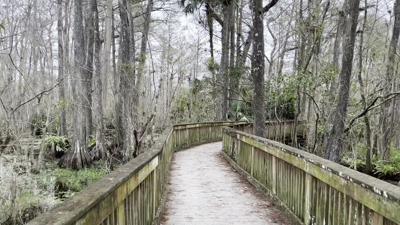 Kirby Storter Roadside Park Boardwalk