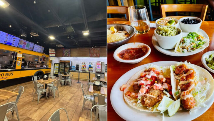 14 Taco Trucks and Taquerias in Florida That Turn Lunch Into the Best Part of the Day