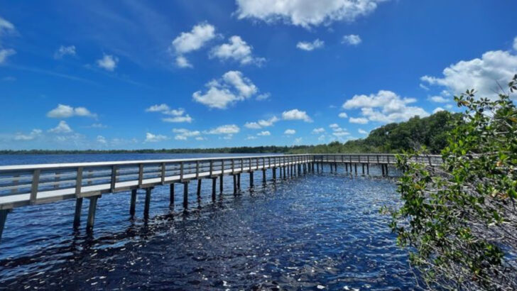 15 Breathtaking Spring Destinations Across Florida You Need to See