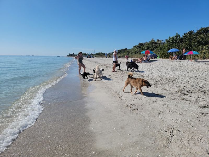 Fort De Soto Park Dog Beach (St. Petersburg)