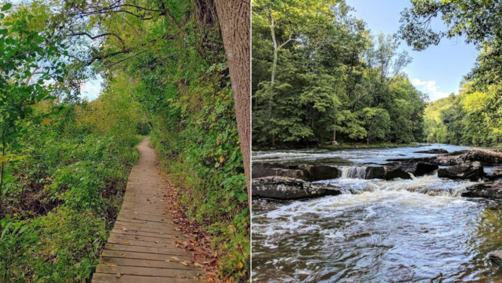 15 Pennsylvania Creekside Trails That Make A Regular Hike Feel More Refreshing