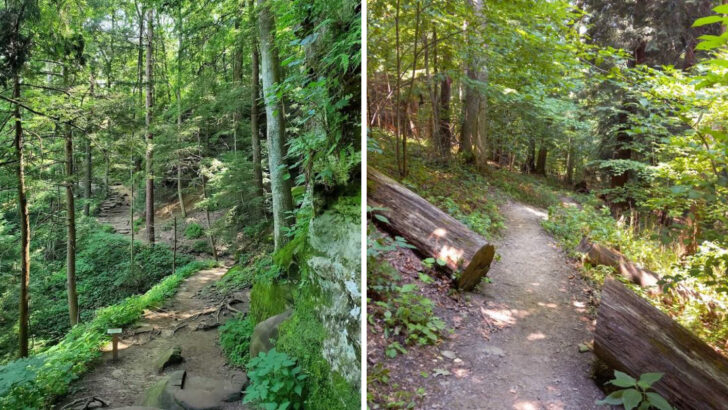 15 Scenic Hikes in Ohio Ranked From Easy Loops to Rugged Terrain