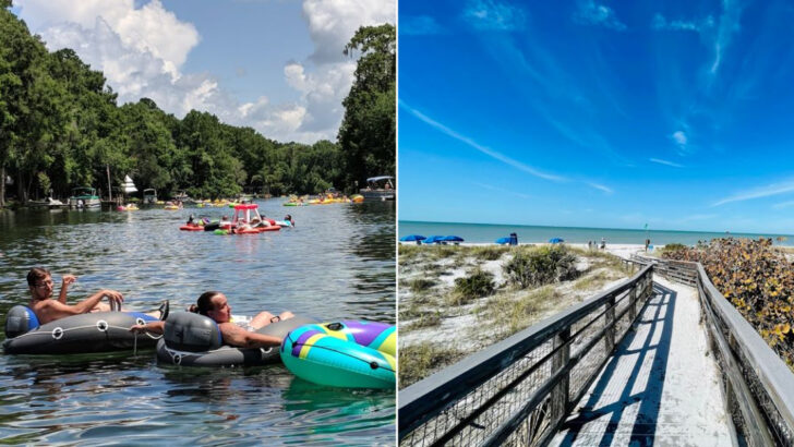 17 Amazing Day Trips From Tampa In 2026 That Are Too Good To Ignore