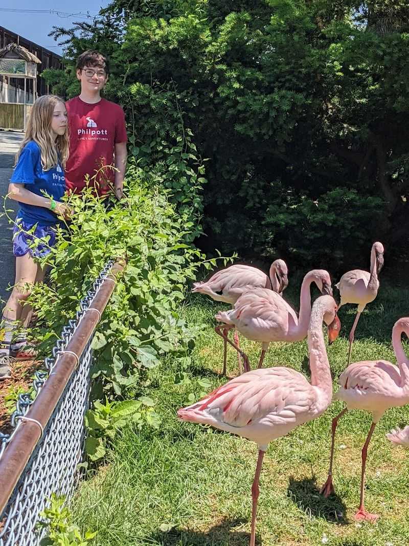 Over 100 Species from Around the Globe