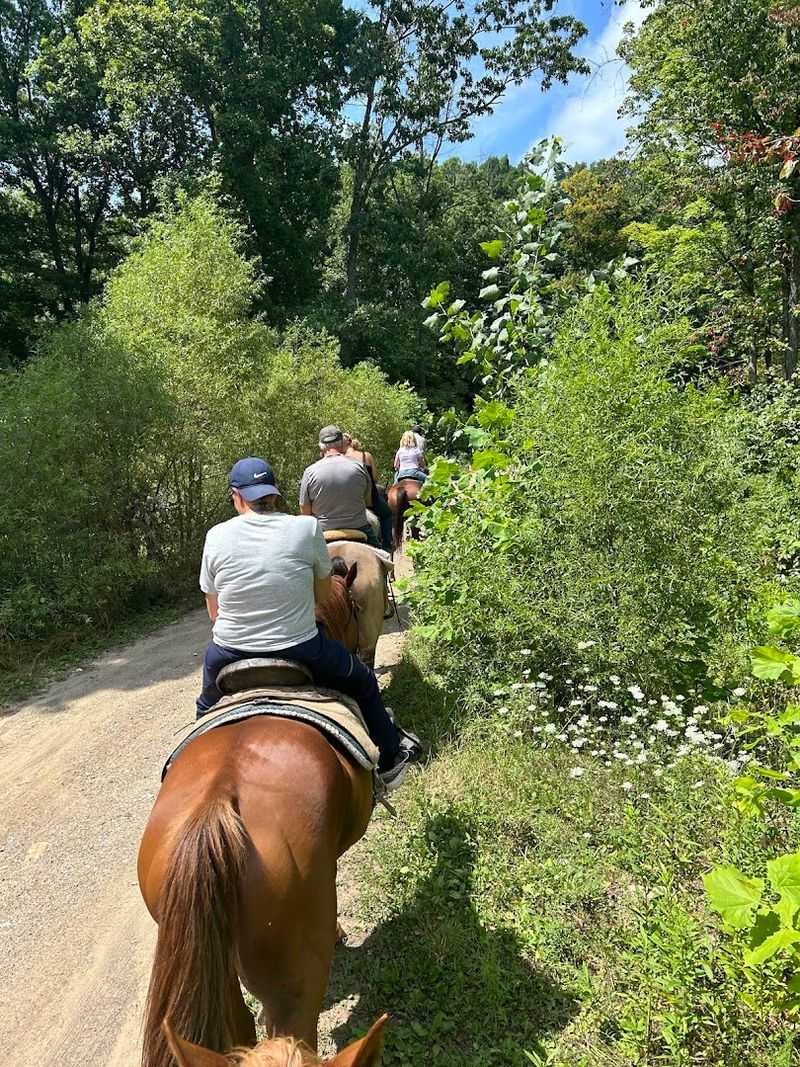 Guided Trail Rides Through Wooded Hills