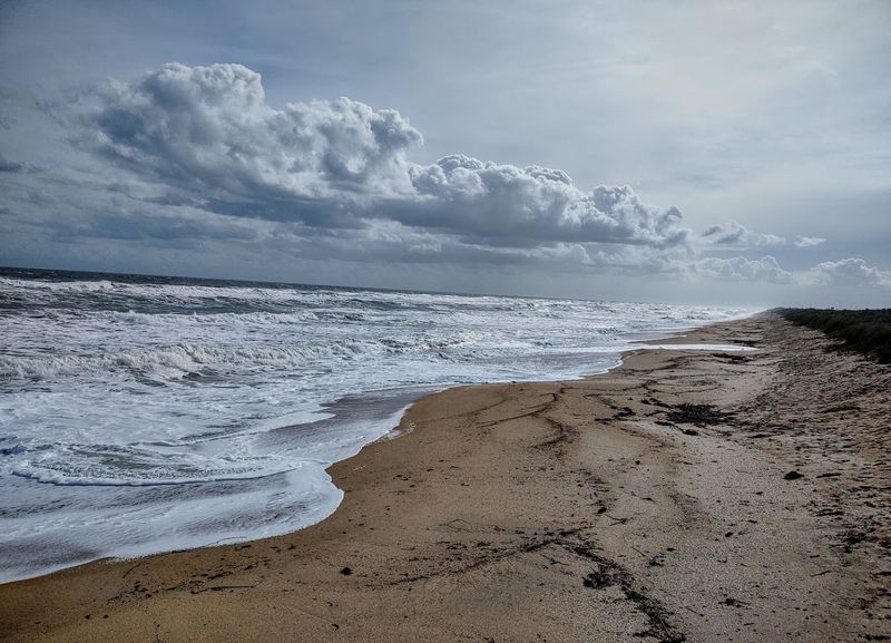 Sea Turtle Nesting Season &mdash; A Natural Wonder You Can Witness