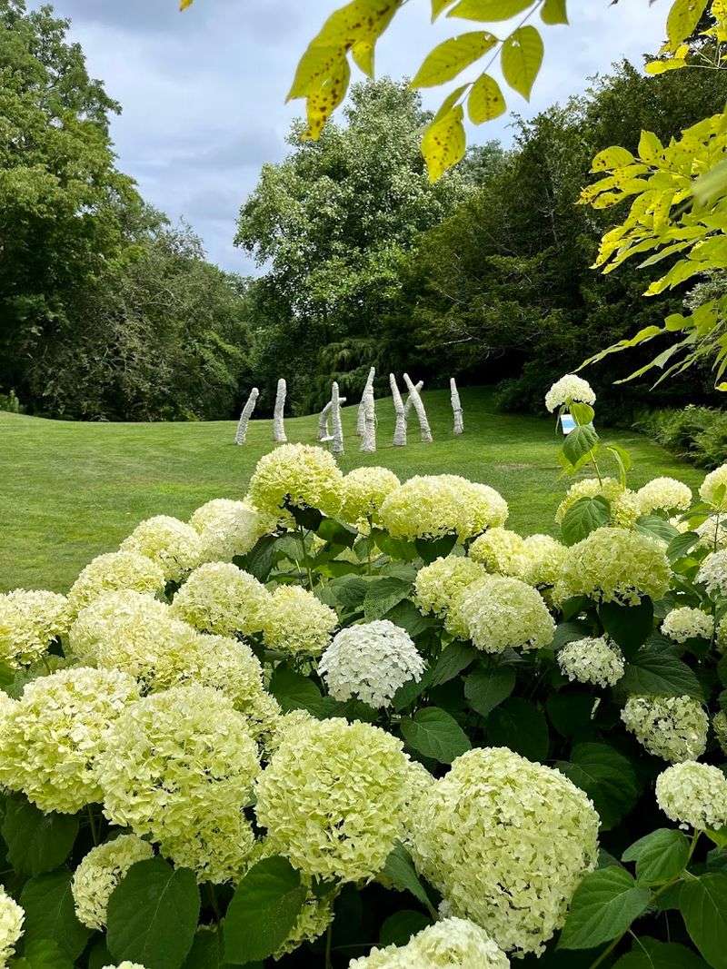 The World-Renowned Gardens