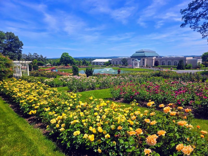 The Famous Rose Garden That Started It All