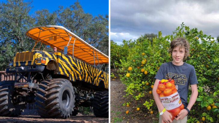 A 2500-Acre Citrus Farm Turns Fresh Oranges Into A Piece Of Florida Nostalgia
