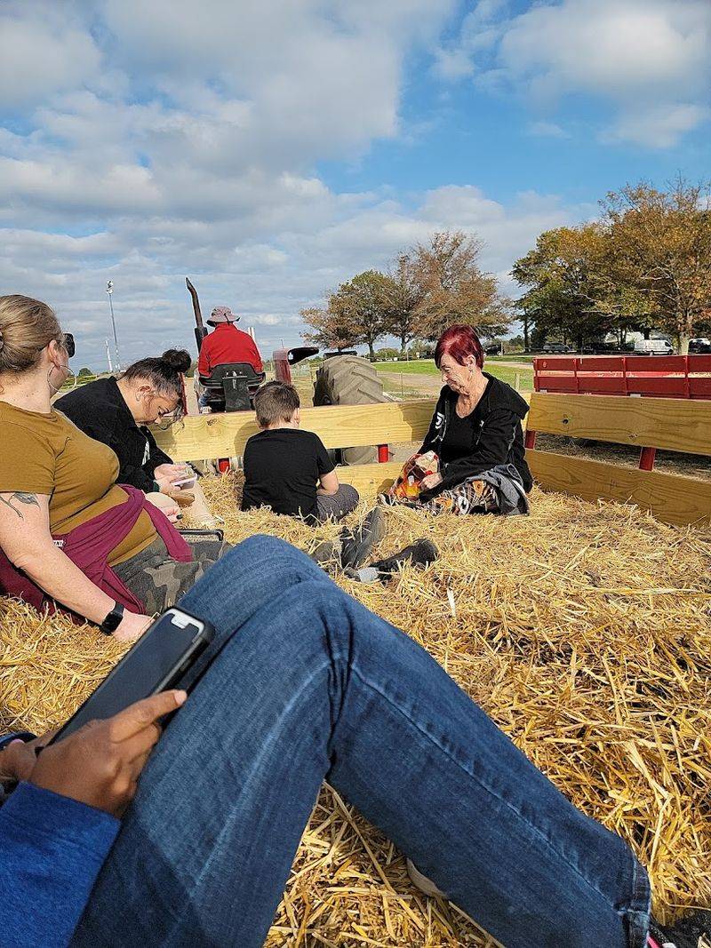 Spring Hayrides Through Blooming Orchard Fields