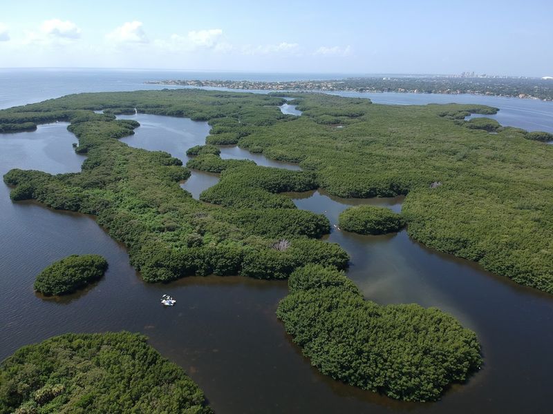 Where Freshwater Meets the Gulf