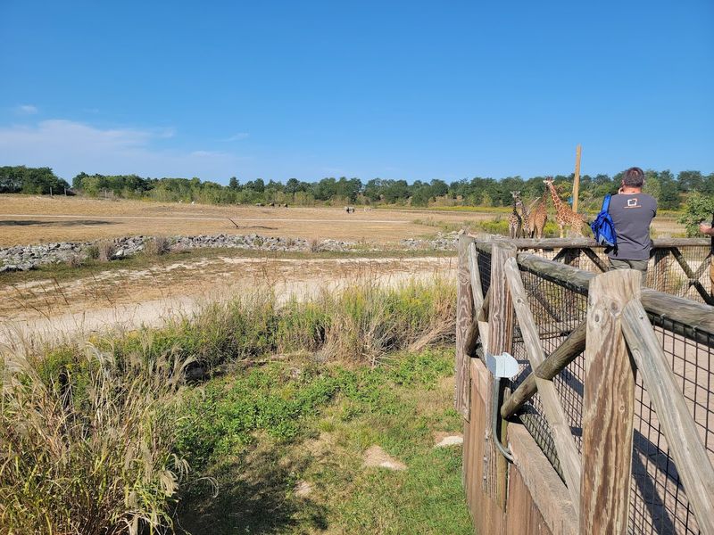 Ohio's African Savanna Adventure