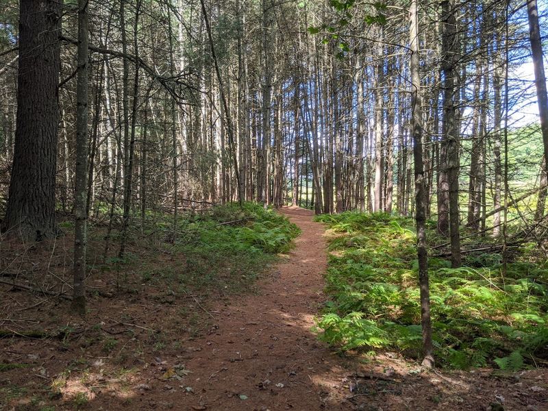 Easy, Well-Maintained Trails for All Skill Levels