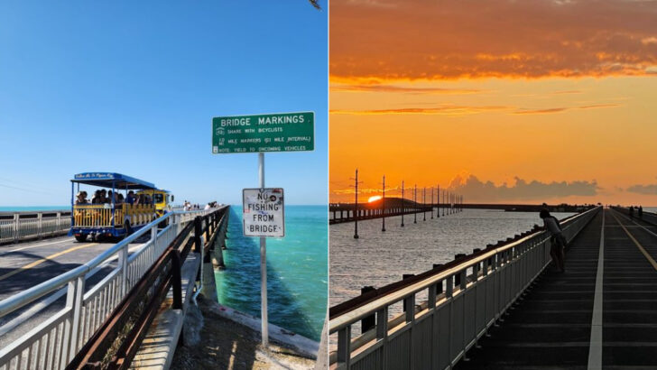 A 7-Mile Bridge in the Florida Keys Runs Parallel to a Retired 1912 Railroad Span You Can Still Bike Across for Miles Over Open Ocean