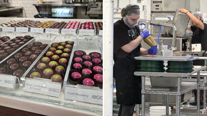 A Bean-to-Bar Chocolate Factory in North Carolina Turns Raw Cacao Into Finished Truffles Right in Front of You