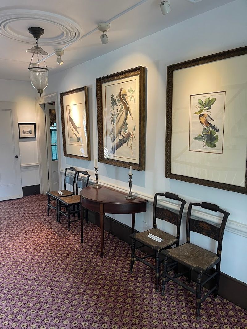 John James Audubon's Legendary Bird Art Collection