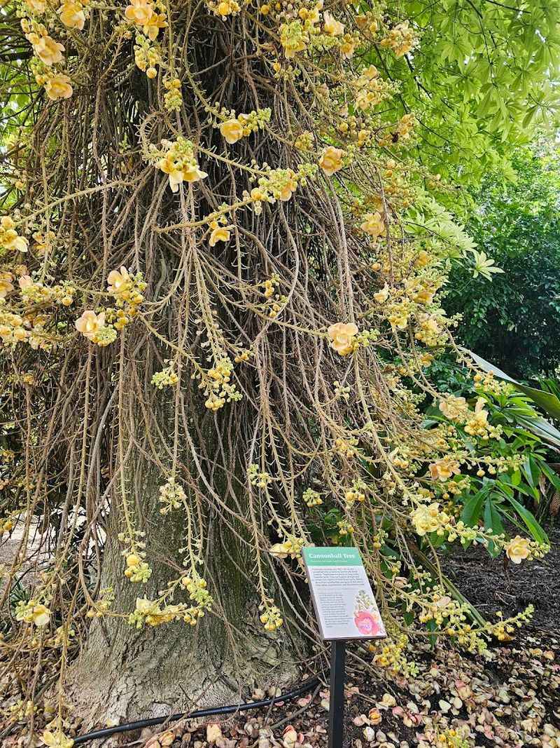 A Research and Conservation Hub Today