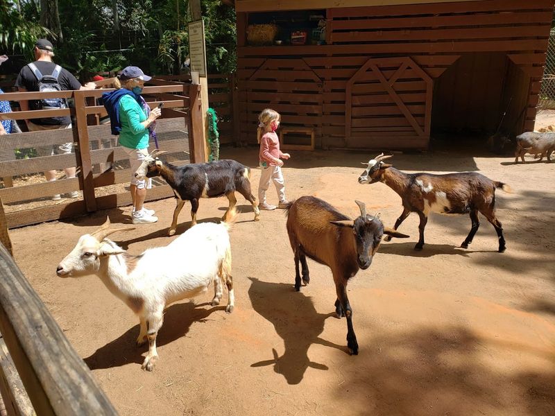 Daily Interactive Animal Encounters