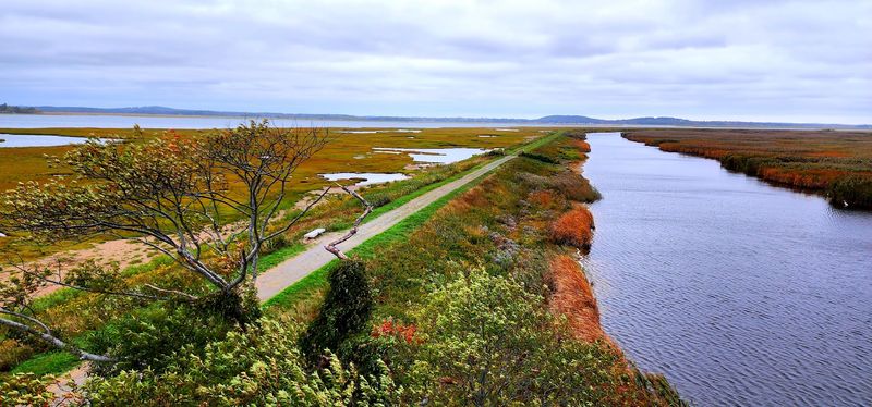 Plum Island