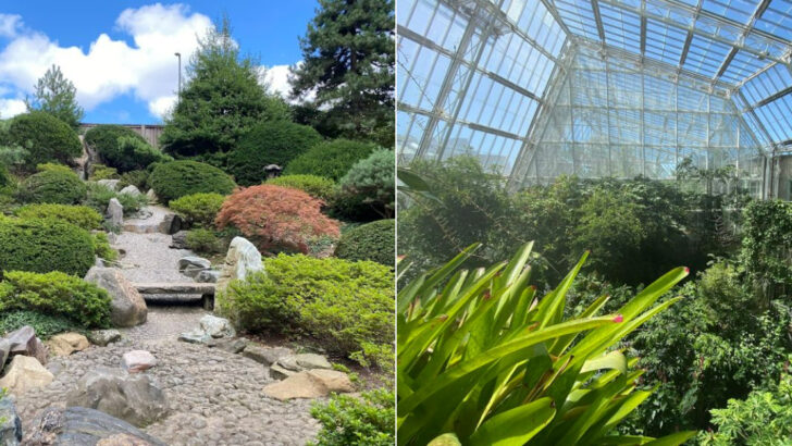 A Botanical Garden In Ohio Turns One Visit Into A Walk Through Glasshouses, Blooms, And Butterflies