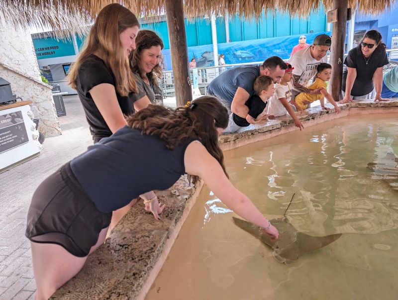 Hands-On Learning for Families and Kids