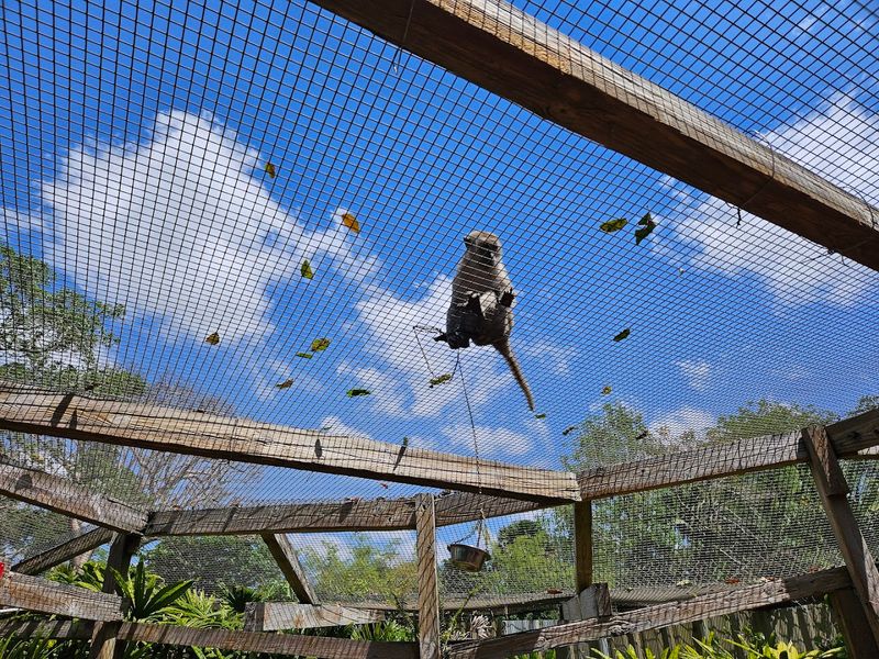 The Walk-Through Tunnel Experience